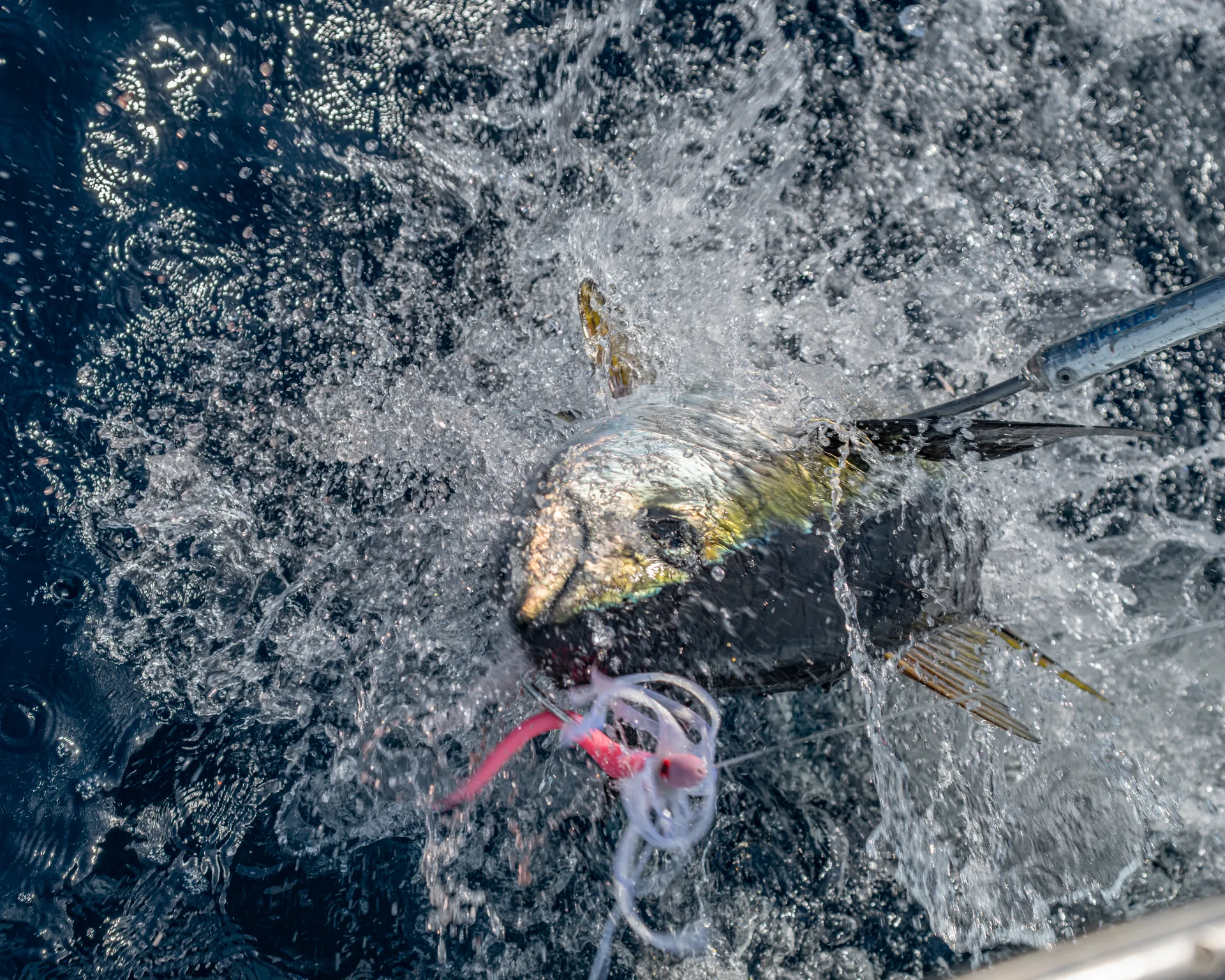 Inshore fishing along the rocky coastline of the Gulf of Papagayo