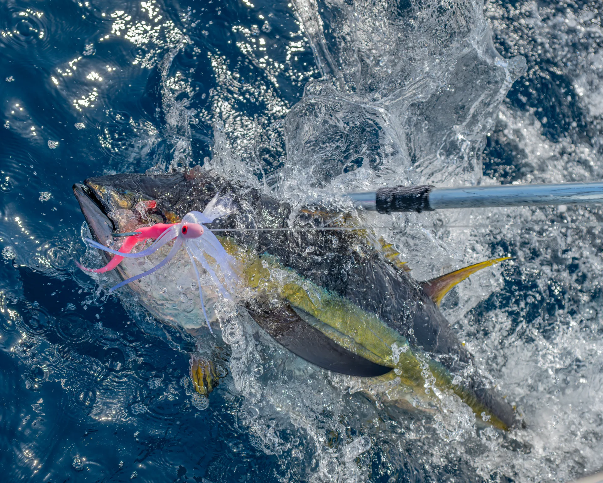 Offshore fishing for yellowfin tuna in the Gulf of Papagayo