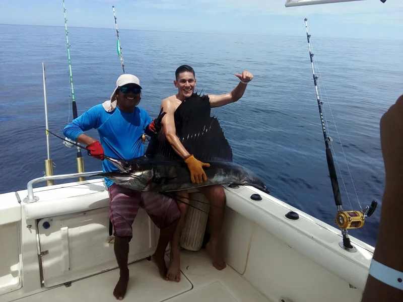 Billfish jumping behind the boat during a fight