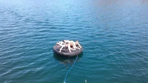 Relaxation Adventures