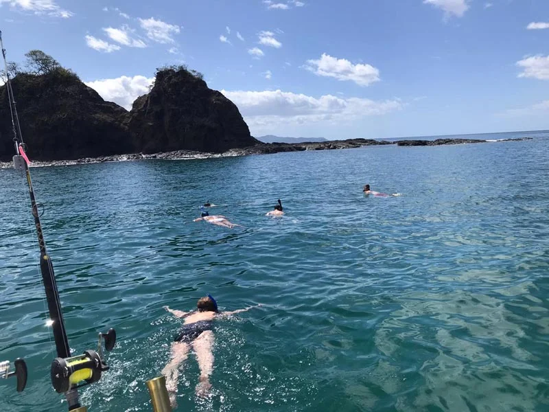 snorkeling tour